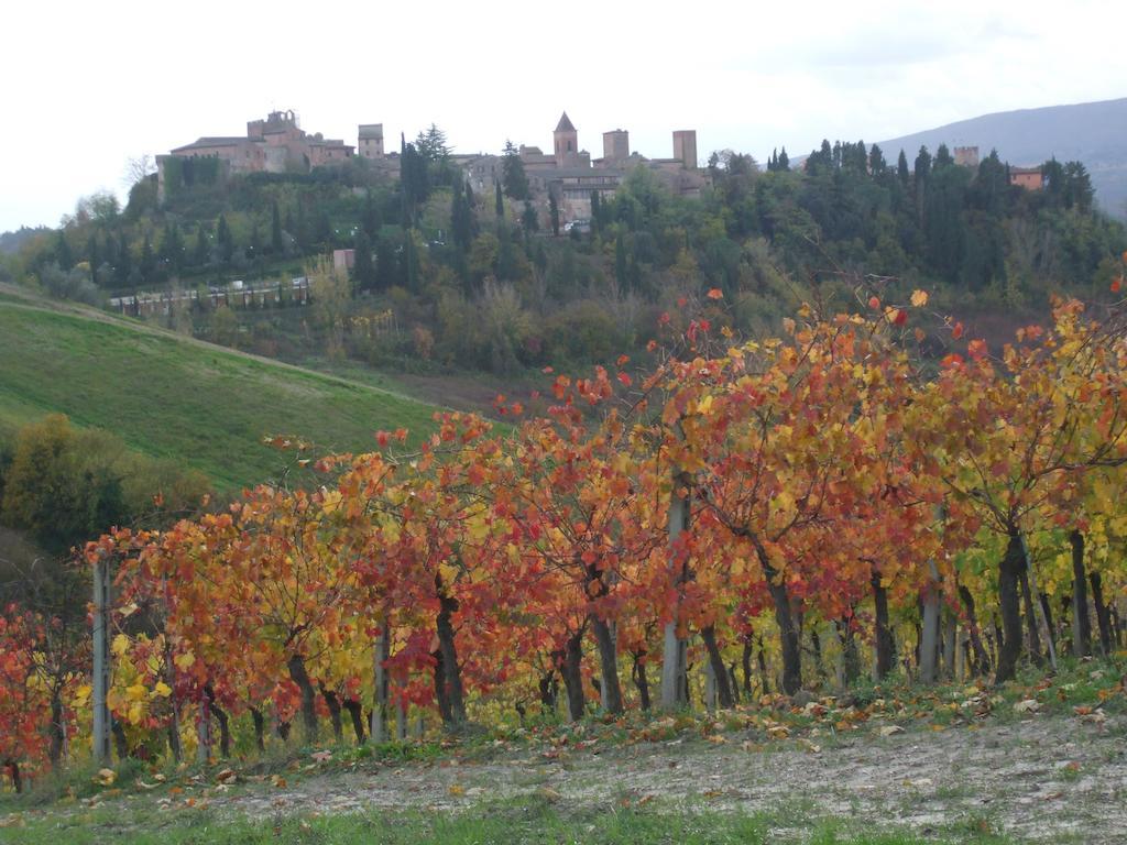 Agriturismo Il Torrione Villa Certaldo Buitenkant foto