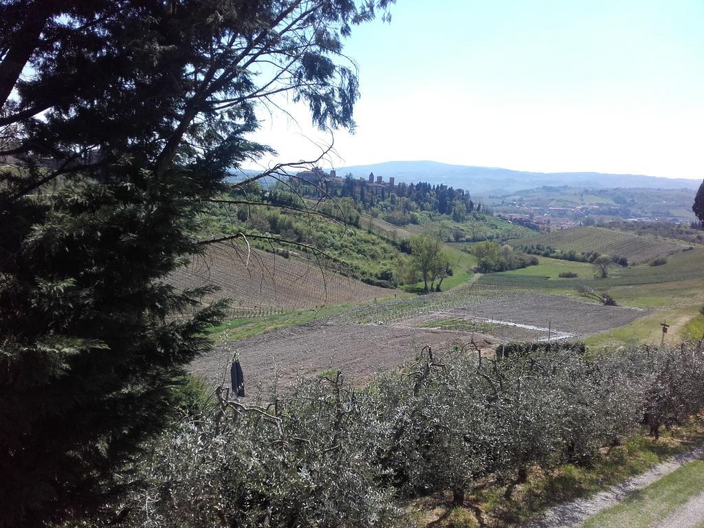 Agriturismo Il Torrione Villa Certaldo Buitenkant foto