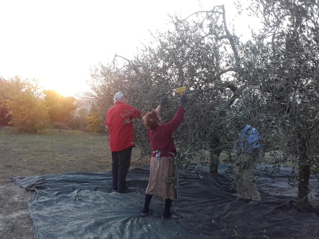 Agriturismo Il Torrione Certaldo Buitenkant foto
