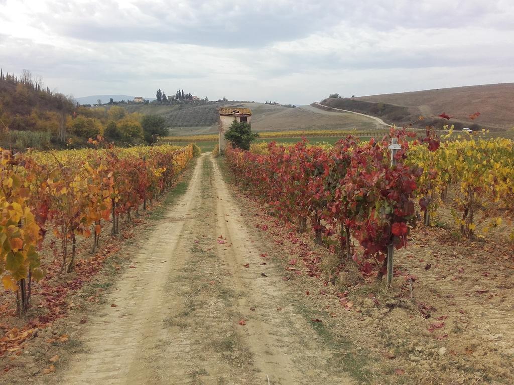 Agriturismo Il Torrione Villa Certaldo Buitenkant foto