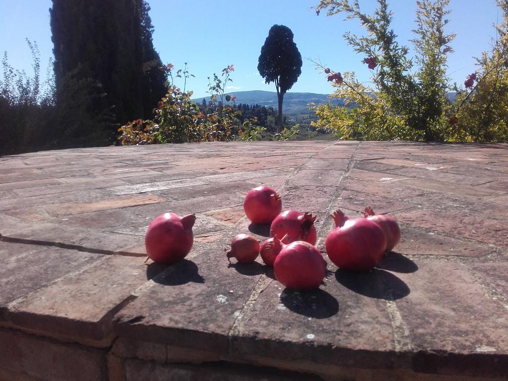 Agriturismo Il Torrione Villa Certaldo Buitenkant foto